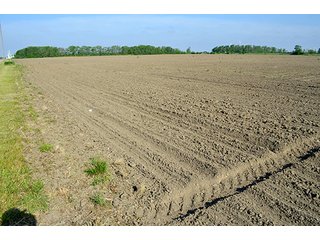 Property photo 14 - LAND AUCTION - 215+/- ACRES OFFERED IN 6 TRACTS IN VAN WERT COUNTY, OHIO